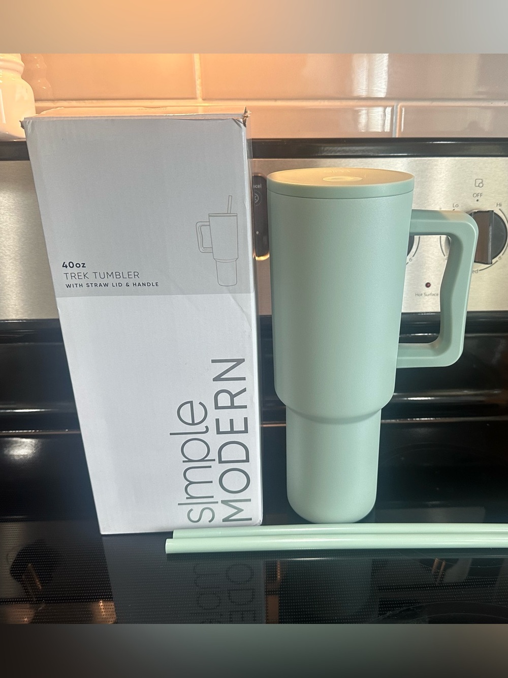 Simple Modern Mint Green Trek Tumbler with Handle